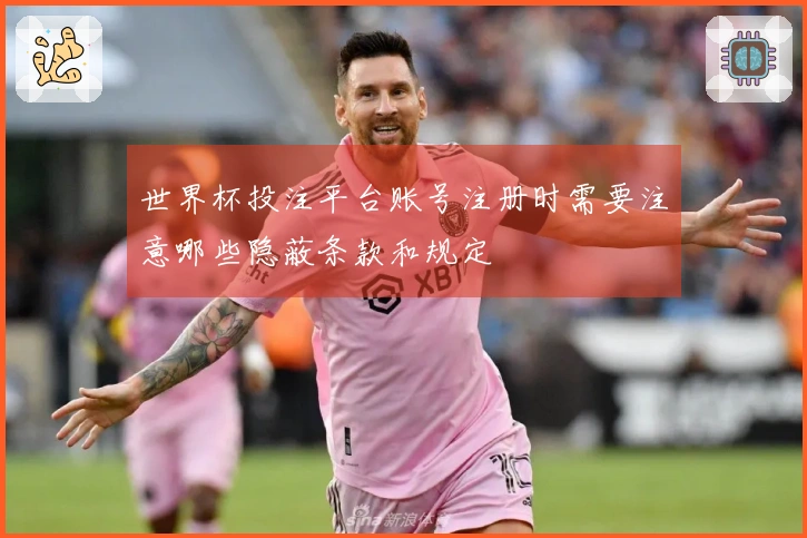 世界杯投注平台账号注册时需要注意哪些隐蔽条款和规定