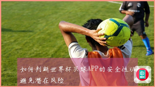 如何判断世界杯买球APP的安全性以避免潜在风险