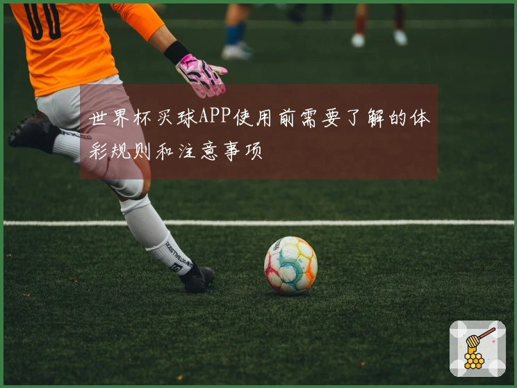 世界杯买球APP使用前需要了解的体彩规则和注意事项