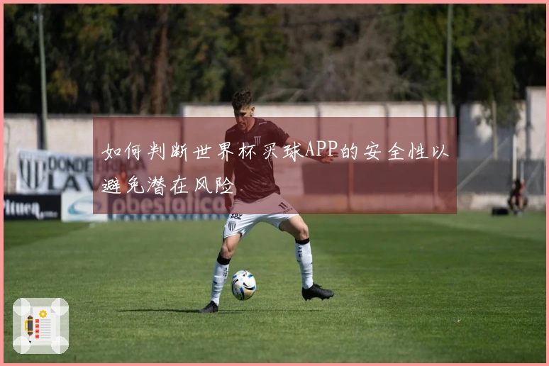 如何判断世界杯买球APP的安全性以避免潜在风险