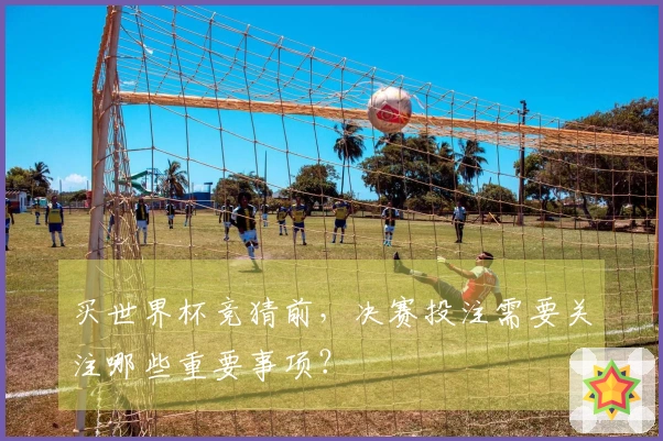 买世界杯竞猜前，决赛投注需要关注哪些重要事项？
